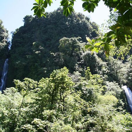 Natty Tropical Valley Ροζό Εξωτερικό φωτογραφία