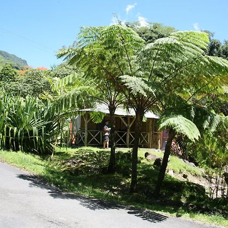 Natty Tropical Valley Ροζό Εξωτερικό φωτογραφία