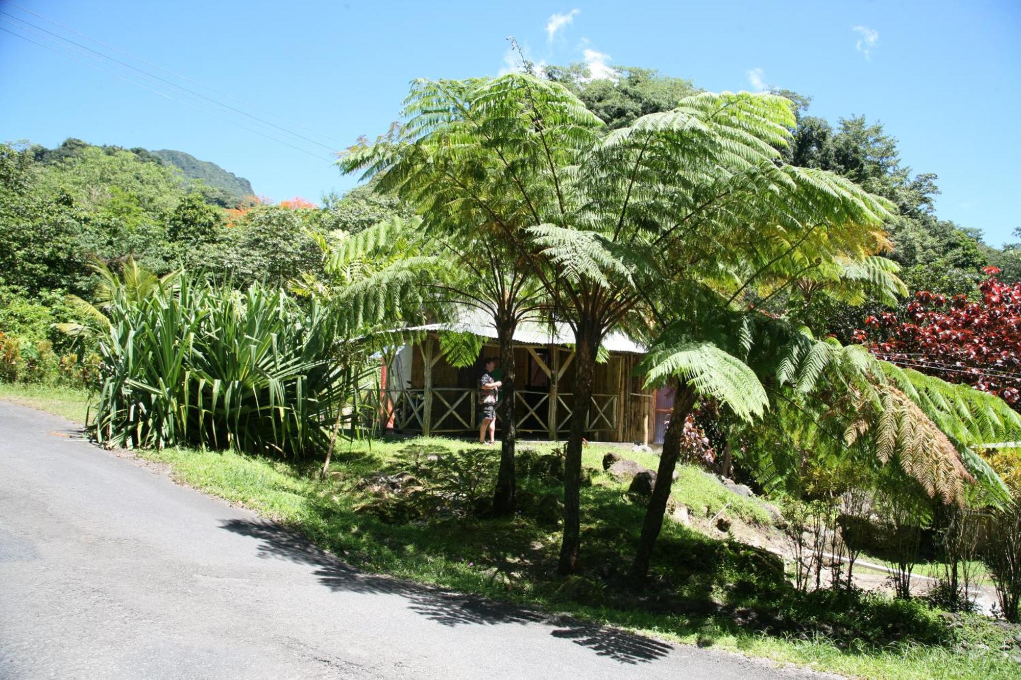 Natty Tropical Valley Ροζό Εξωτερικό φωτογραφία