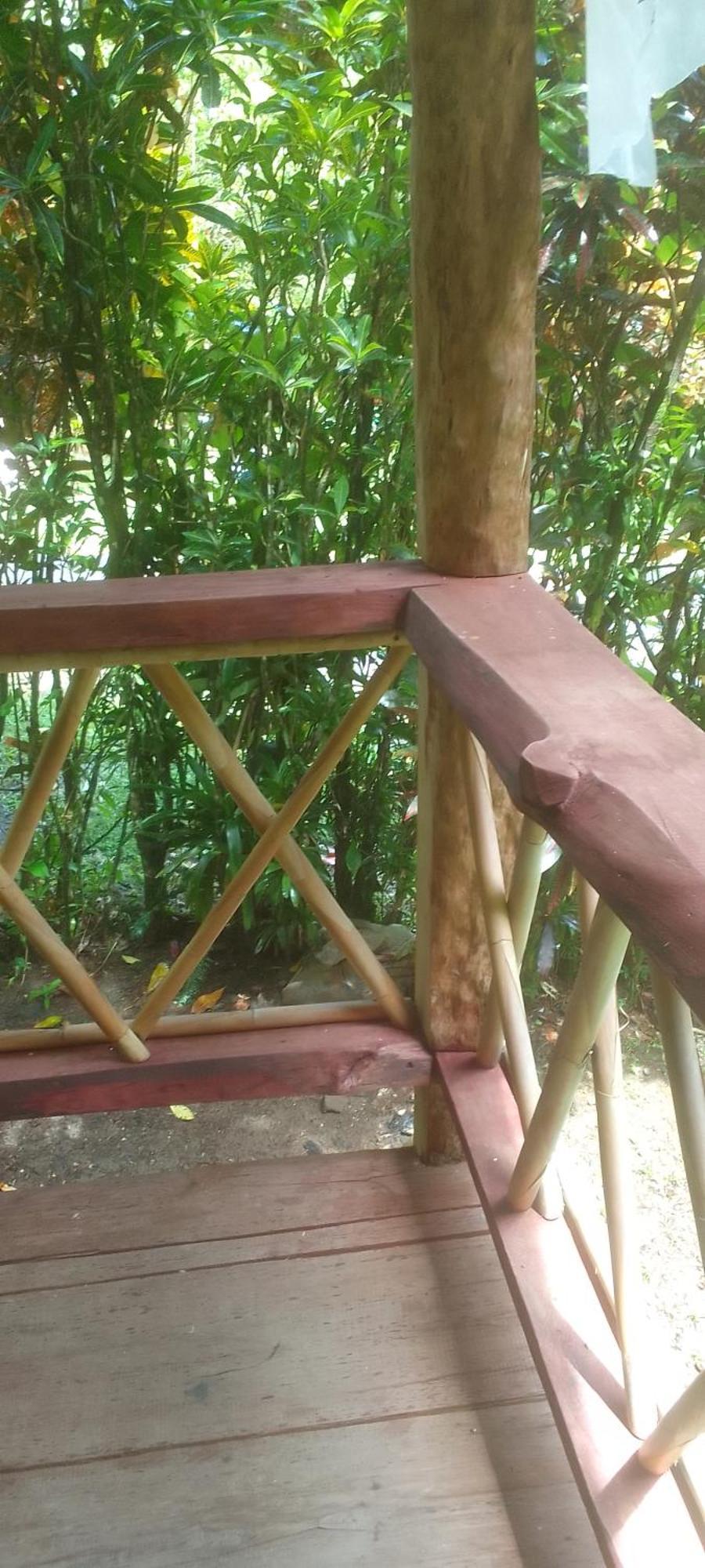 Natty Tropical Valley Ροζό Εξωτερικό φωτογραφία