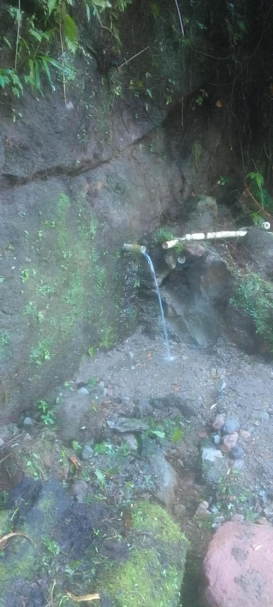 Natty Tropical Valley Ροζό Εξωτερικό φωτογραφία
